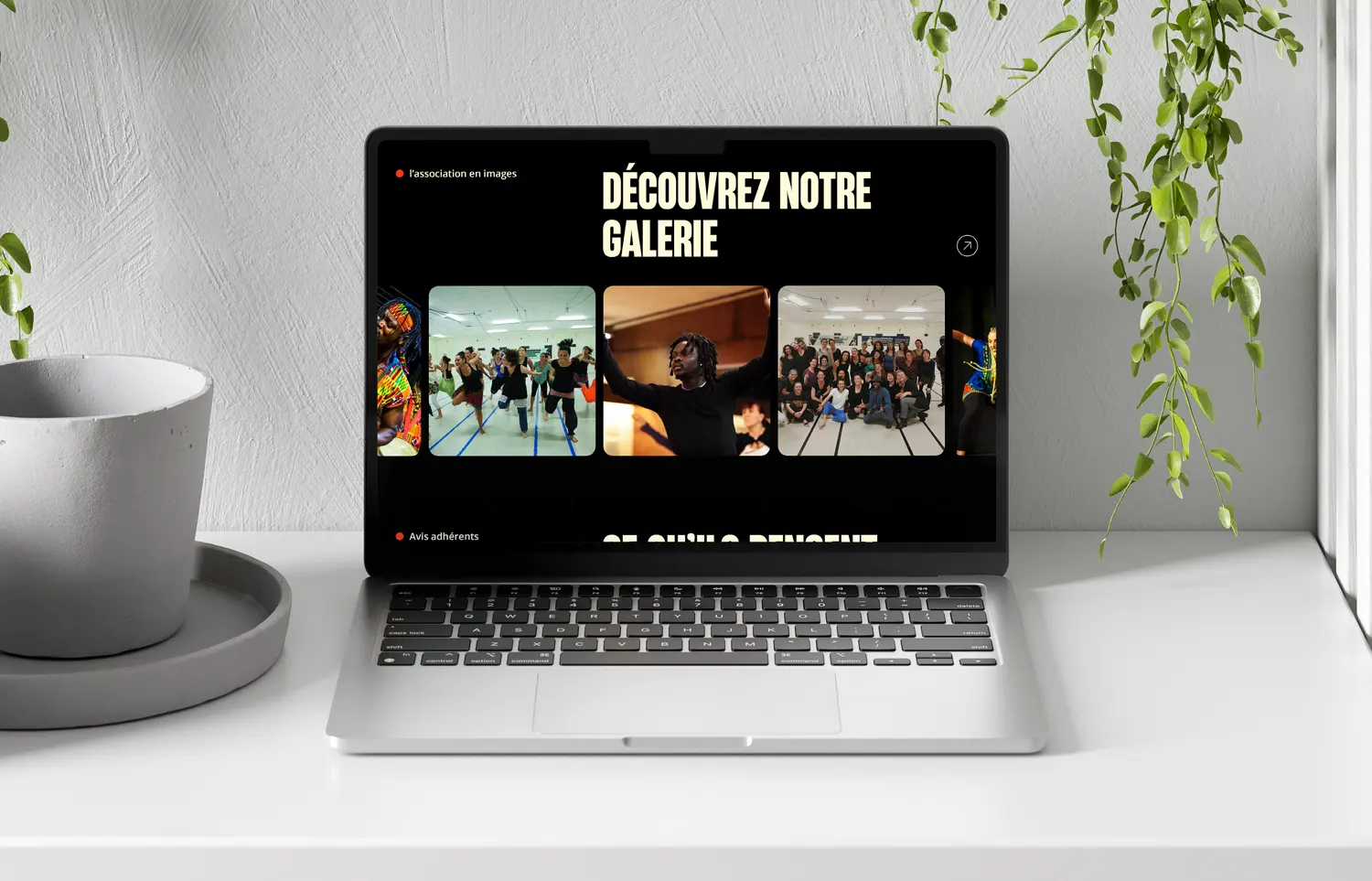 Asso Terre d'Ivoire - site vitrine Capsicom
